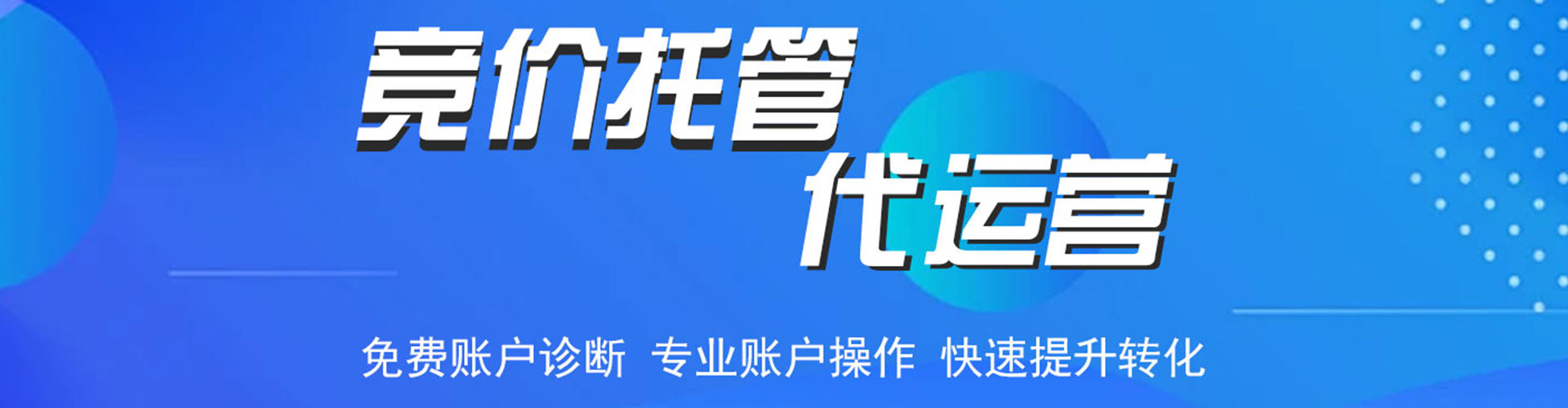 维西sem竞价